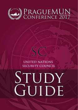 United Nations Security Council: Topic B