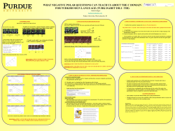 what negative polar questions can teach us