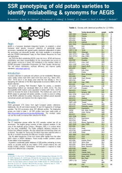 SSR genotyping of old potato varieties to identify