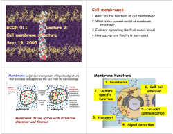 1. What are the functions of cell membranes?