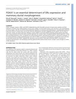 FOXA1 is an essential determinant of ER&alpha; expression and