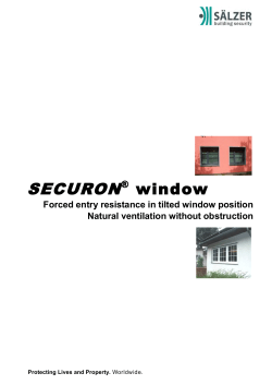 SECURON&reg; window