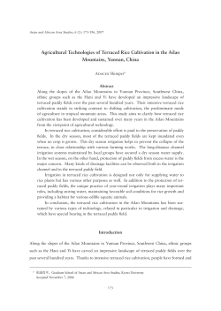Agricultural Technologies of Terraced Rice Cultivation in
