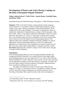 Development of Passive and Active Barrier Coating on the Basis of