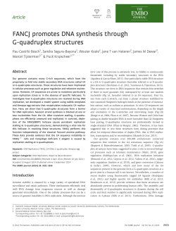 FANCJ promotes DNA synthesis through Gquadruplex structures