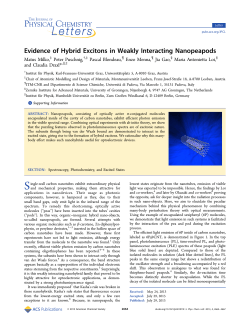 Evidence of Hybrid Excitons in Weakly Interacting Nanopeapods