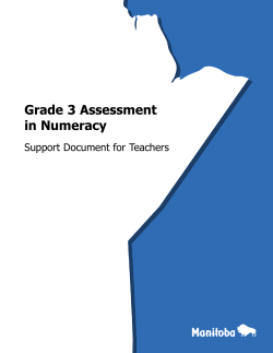 Grade 3 Assessment in Numeracy