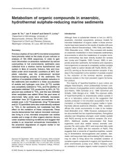 Metabolism of organic compounds in anaerobic, hydrothermal