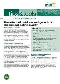 The effect of nutrition and growth on sheepmeat eating quality