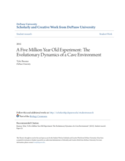 A Five Million Year Old Experiment: The Evolutionary Dynamics of a