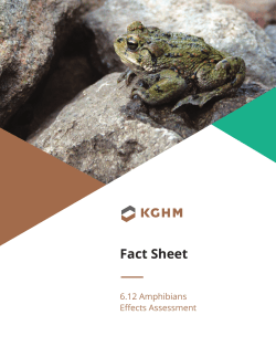 Fact Sheet - KGHM Ajax Mine Environmental Assessment