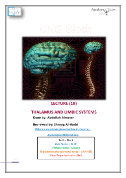 thalamus and limbic systems