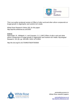 Effect of silicic acid and other silicon compounds on fungal growth in