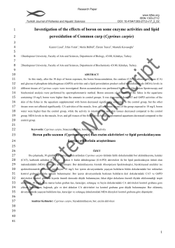 Investigation of the effects of boron on some enzyme activities and
