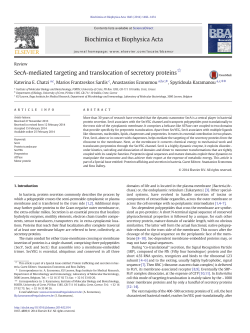 SecA-mediated targeting and translocation of - IMBB