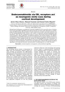 Endocannabinoids via CB1 receptors act as neurogenic niche cues
