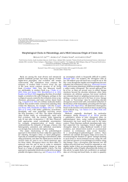 Morphological Clocks in Paleontology, and a Mid