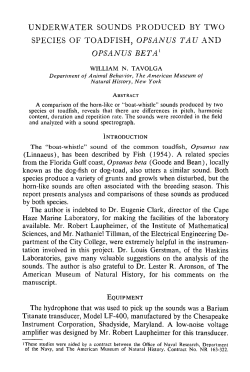 Underwater Sounds Produced by Two Species of Toadfish, <i