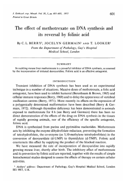 The effect of methotrexate on DNA synthesis and its