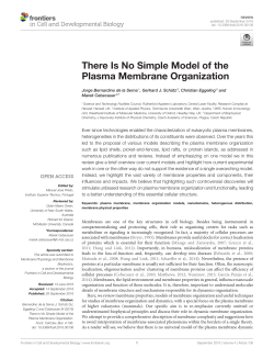 There Is No Simple Model of the Plasma Membrane Organization