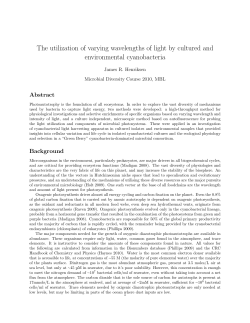 Henriksen, J. The utilization of varying wavelengths of light by