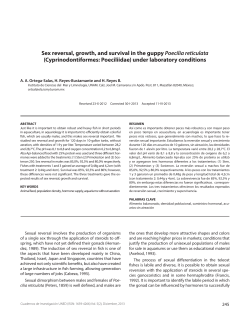 Sex reversal, growth, and survival in the guppy Poecilia reticulata