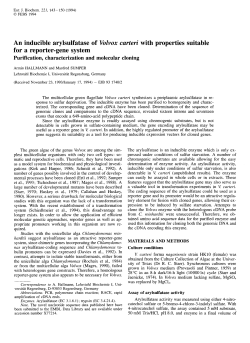 An inducible arylsulfatase of Volvox carteri with properties suitable