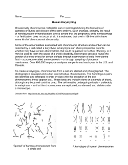 Karyotyping Activity
