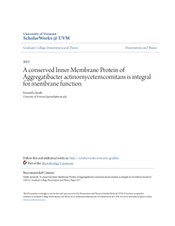 A conserved Inner Membrane Protein of Aggregatibacter