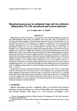 Bioturbation processes in continental slope and rise sediments