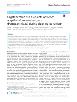 Cryptobenthic fish as clients of french angelfish Pomacanthus paru
