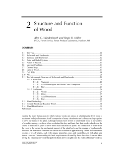 Structure and Function of Wood Chapter 2