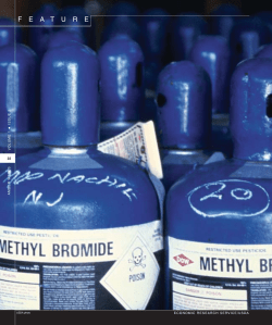 Amber Waves April 2003-Feature