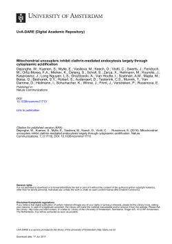 Mitochondrial uncouplers inhibit clathrin