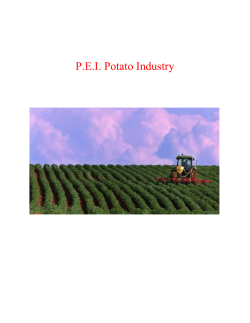 PEI Potatoes