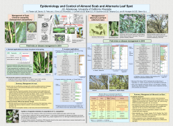 Epidemiology and Control of Almond Scab and Alternaria Leaf Spot