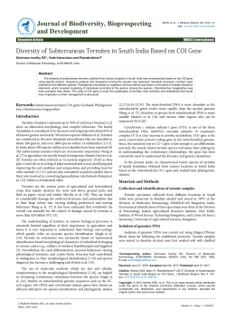 Diversity of Subterranean Termites in South India Based on COI Gene