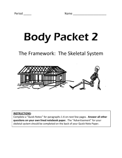 Body Organization: Working Together
