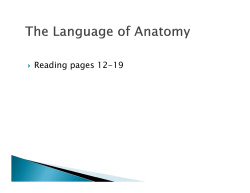 Anatomy Ch 1 PowerPoint Notes [Compatibility Mode]