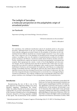 Load PDF - Protistology