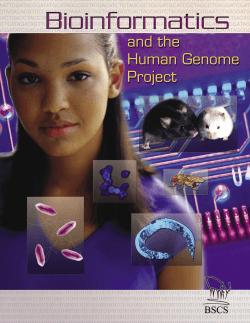 Bioinformatics and the Human Genome Project