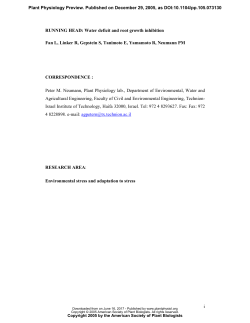 i RUNNING HEAD: Water deficit and root growth