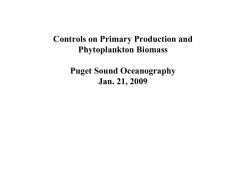 Controls on Primary Production and Phytoplankton Biomass Puget