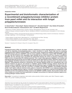 Experimental and bioinformatic characterization of a recombinant
