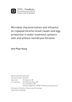Microbial characterization and influence on copepod (Acartia