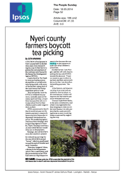 Nyeri county farmers boycott tea picking