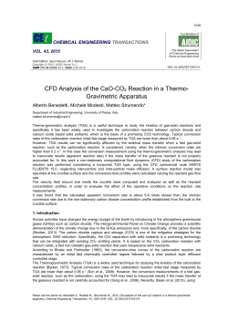 CFD Analysis of the CaO-CO2 Reaction in a Thermo