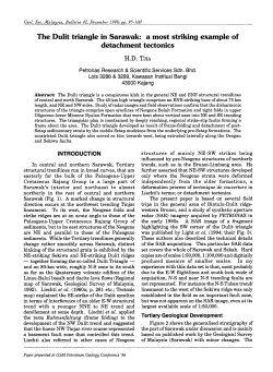 The DuIit triangle in Sarawak: a most striking example of detachment