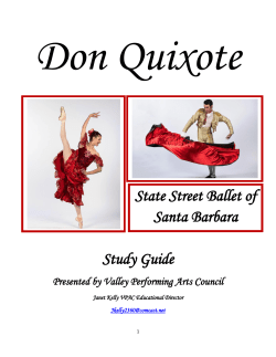 Don Quixote - Valley Performing Arts Council