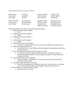 Nouns and Adjectives Answer Sheet
